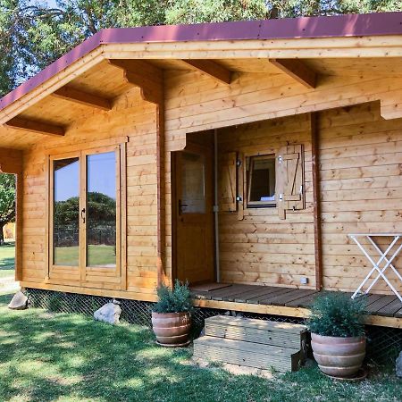 Вилла Woodhouse Sao Pedro do Estoril Экстерьер фото