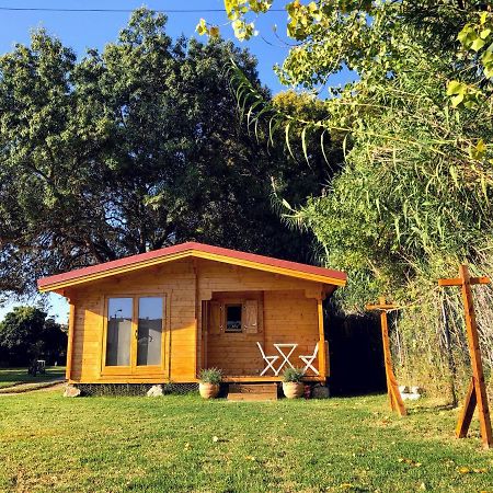 Вилла Woodhouse Sao Pedro do Estoril Экстерьер фото