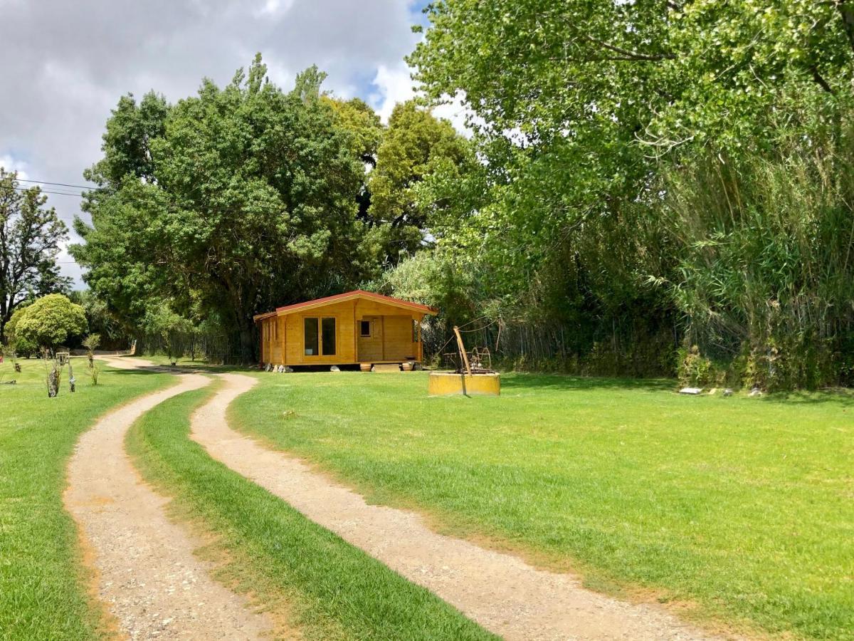 Вилла Woodhouse Sao Pedro do Estoril Экстерьер фото